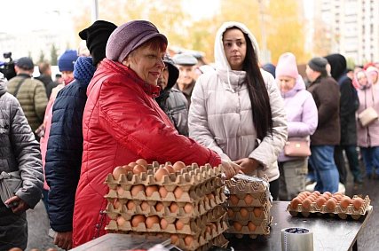 Замгубернатора Белгородской области назвала ажиотаж вокруг продаж куриных яиц искусственным