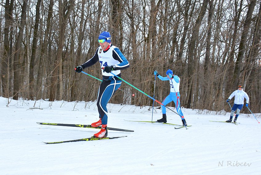 Азарт, борьба, спорт: «Лесная сказка» вновь приняла соревнования по лыжным гонкам