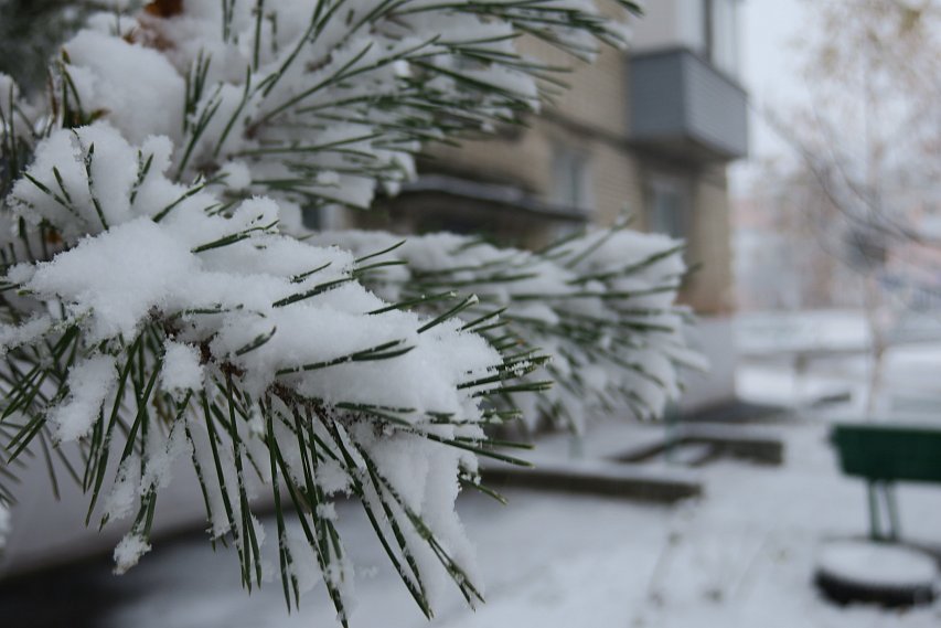 Первый день зимы для жителей Белгородской области будет снежным