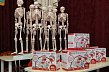 От скелетов до наборов доктора: фонд «Поколение» подарил детским садам Губкина игрушки «на перспективу»