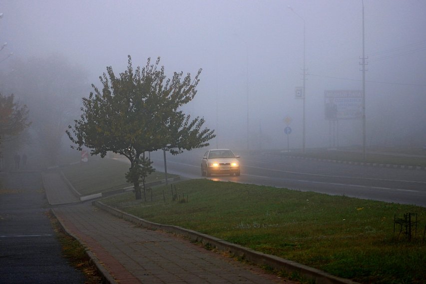 Жителей Белгородской области предупредили о тумане