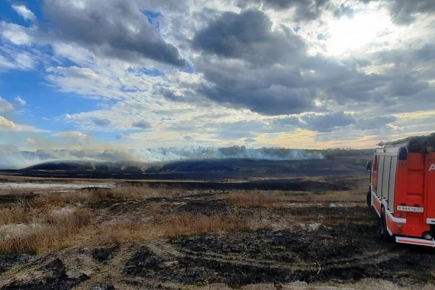 Около 100 ландшафтных пожаров произошло в Белгородской области на прошлой неделе