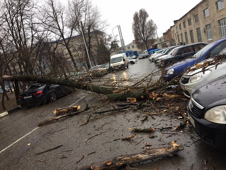 Белгородцев снова предупреждают о шквалистом ветре