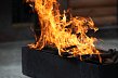 От тракторных шин до болота: губкинцы поучаствовали в кроссе «Железный характер»
