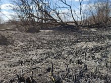 В Белгородской области вводится особый противопожарный режим