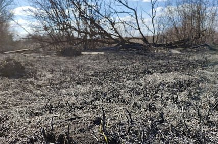 В Белгородской области вводится особый противопожарный режим