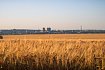 Уборочная кампания стартовала в Губкинском округе