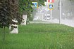 Белгородскую область частично заденет циклон «Бернадетт»