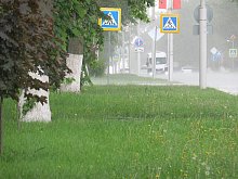 Белгородскую область частично заденет циклон «Бернадетт»