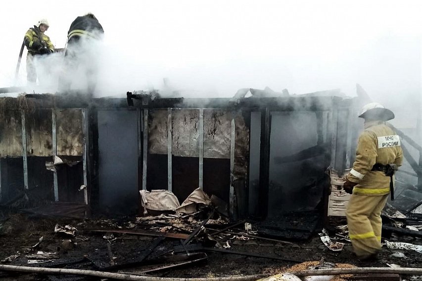 Четыре пожара произошло в Белгородской области за прошедшие сутки