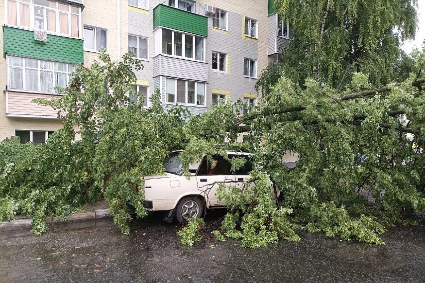 В Белгородской области продолжится период дождей и гроз