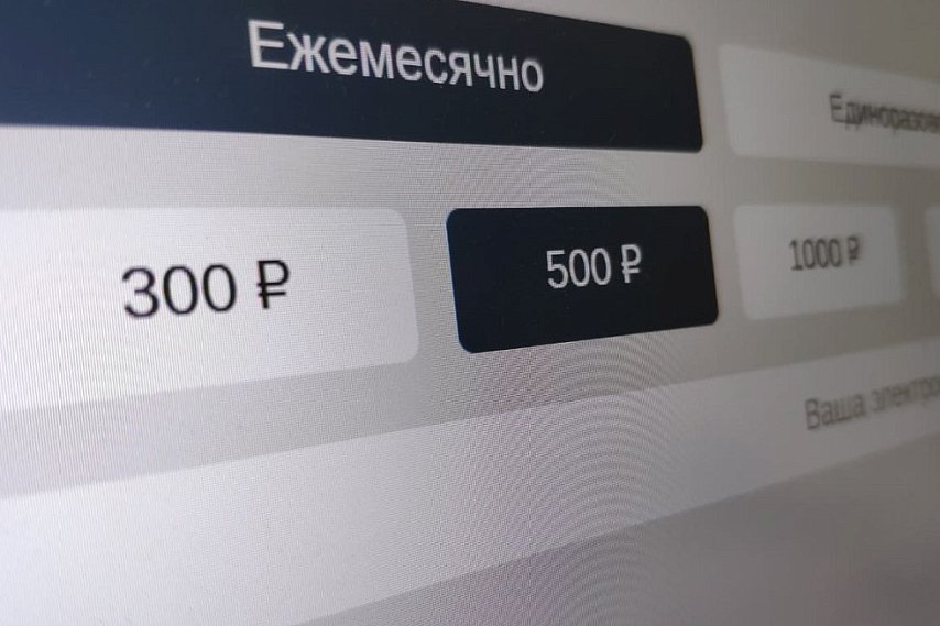 Подписка или разовый платёж: как поддерживают блогеров жители Белгородской области