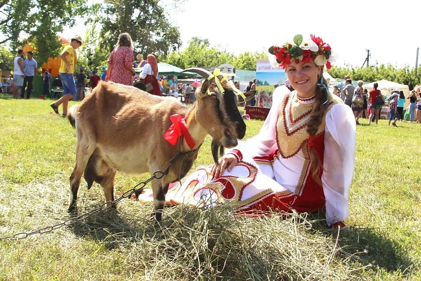 В Губкинском округе пройдёт фестиваль деревенской культуры «Губкин-гурт»