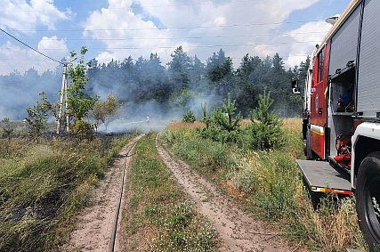 В Белгородской области ещё на три недели продлили особый противопожарный режим