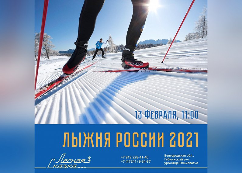 Всероссийская гонка «Лыжня России» пройдёт в Губкине