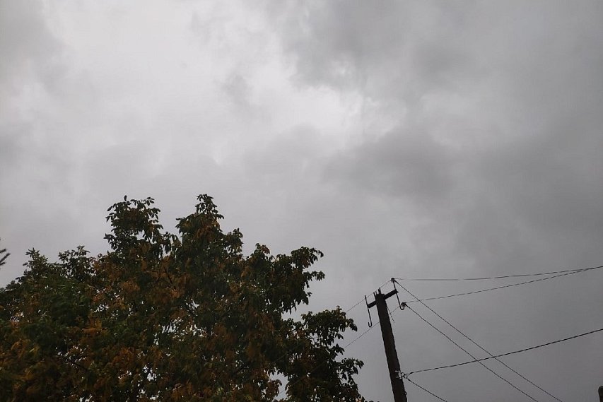 Небольшие дожди, грозы и туман придут в Белгородскую область