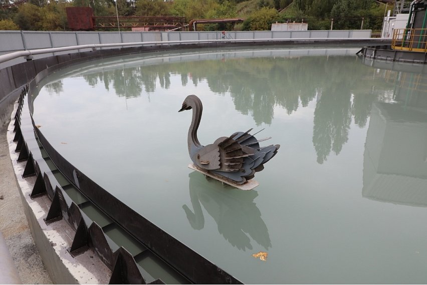 Лебедь на чистой воде. Откуда в чаше сгустителя Лебединского ГОКа взялась благородная птица