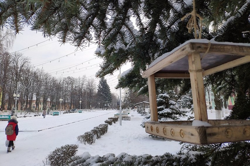 Синоптики сообщили о начале метеорологической зимы в Белгородской области