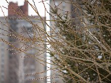 Куда сходить в длинные выходные в честь 8 Марта в Губкине