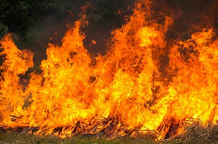 Белгородским лесам могут грозить пожары