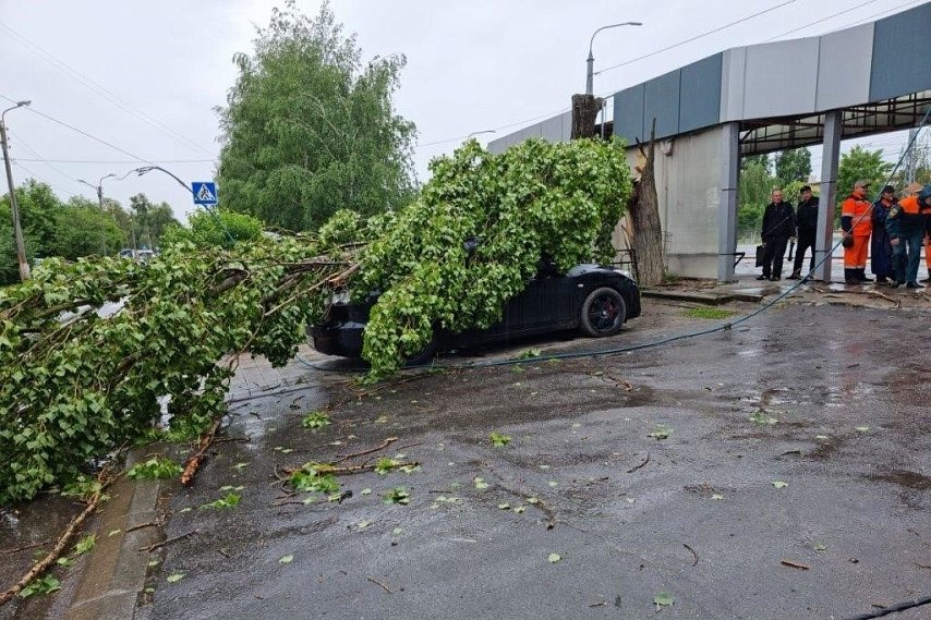 Сильный ветер продолжит бушевать в Белгородской области