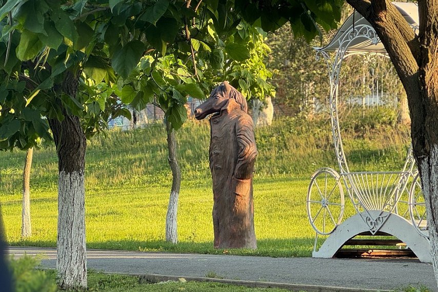 В Губкине модернизируют территорию городского пруда и парка