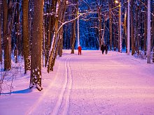 Власти Губкина решили приостановить работу лыжероллерной трассы