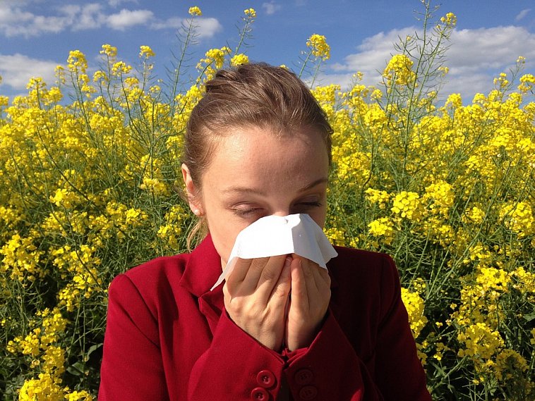 Когда весна не радует: аллергикам на заметку
