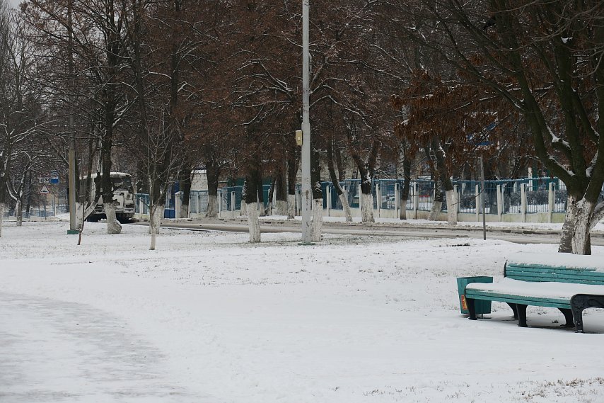 Губкин погода на 10 дней белгородская область. Губкин Сити Мороз март.