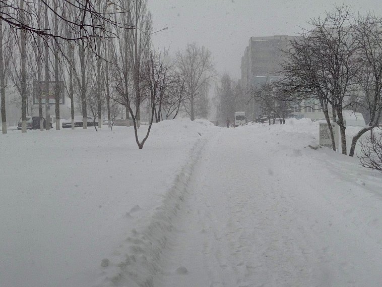 Новости Белгородской области: от хосписа для неизлечимо больных – до борьбы со снегопадами