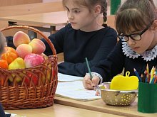 Цифровой профиль здоровья ребёнка запустят в 30 школах Белгородской области