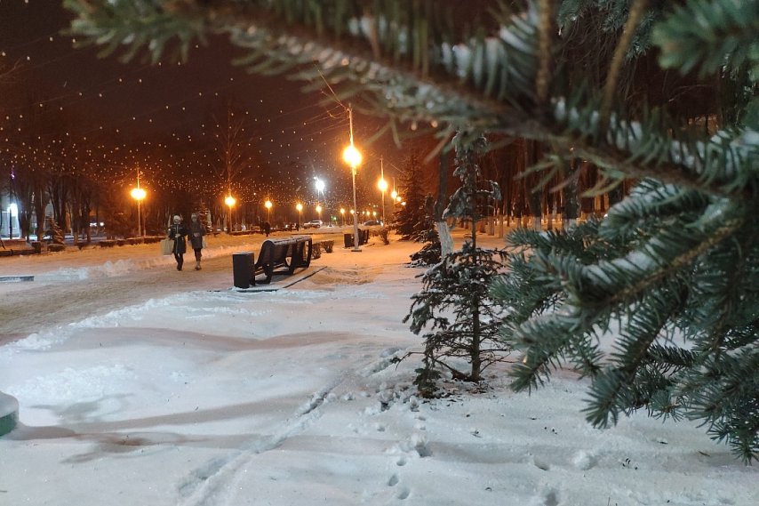 Температура воздуха в Белгородской области ночью опустится до -13