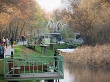 Куда сходить в выходные, 8 и 9 ноября, в Губкине