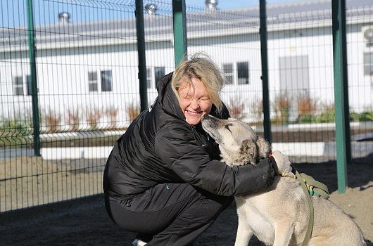 Тайсон, Руся, Бим и другие. Лебединцы посетили губкинский приют для животных