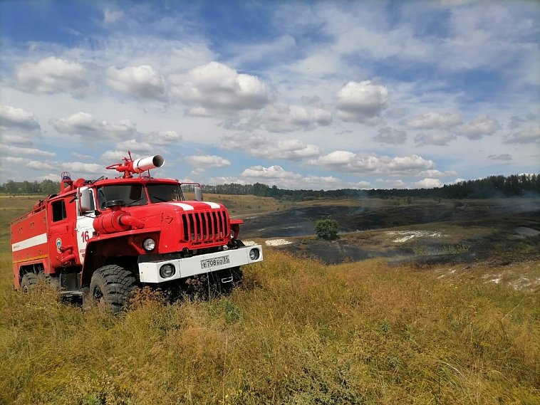159 фактов поджогов сухой травы выявлено с начала пожароопасного периода в Белгородской области