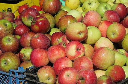 Советы врача: правильное питание и диеты — в чём разница