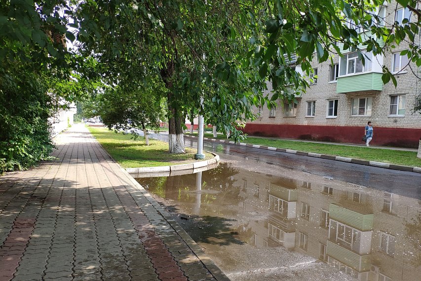 Кратковременные дожди с грозами ожидают Губкин и Белгородскую область в выходные