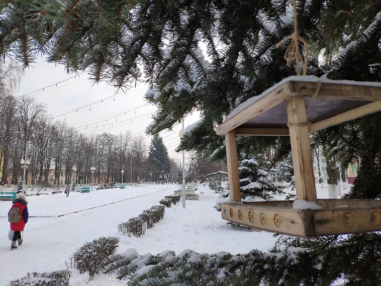 В Белгородской области и Губкине в ближайшие сутки похолодает до минус 25 градусов 