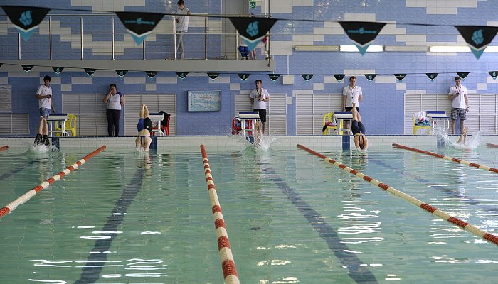 В Губкине прошло первенство по плаванию на призы Лебединского ГОКа