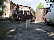 В Белгородской области из-за сложной оперативной обстановки закроют 14 населённых пунктов 