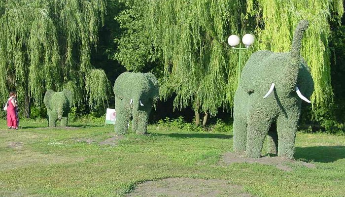 Опрос губкинцев о личном вкладе в улучшение окружающей среды