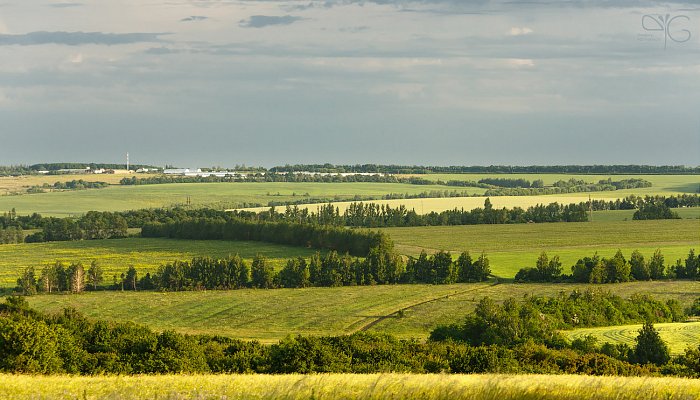Белгородская область в топ-10 экологически чистых регионов России