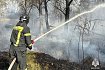 Власти продлили особый противопожарный режим в Белгородской области