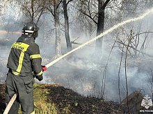 Власти продлили особый противопожарный режим в Белгородской области