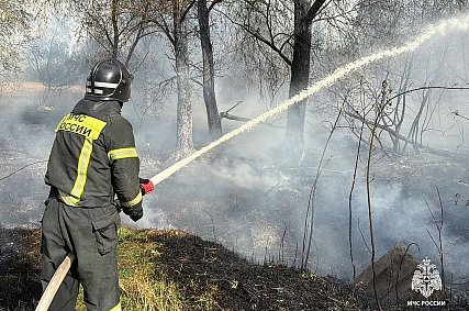 Власти продлили особый противопожарный режим в Белгородской области