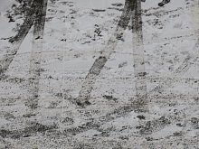 Синоптики спрогнозировали первую оттепель в Белгородской области