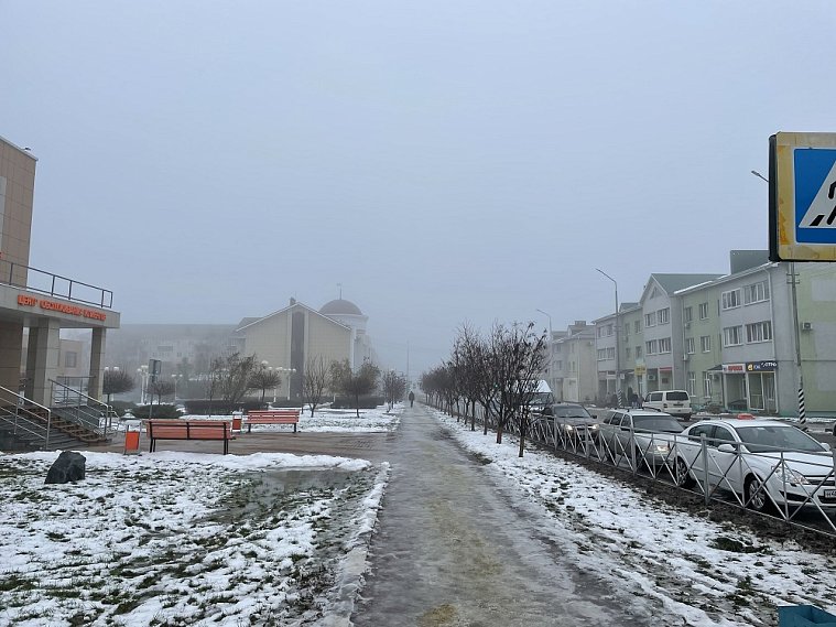 Синоптики предупреждают белгородцев о дождях, тумане и сильном ветре 