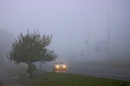 Автомобилистов Белгородской области предупредили о тумане
