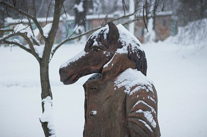 В Белгородской области первая рабочая неделя года будет аномально холодной
