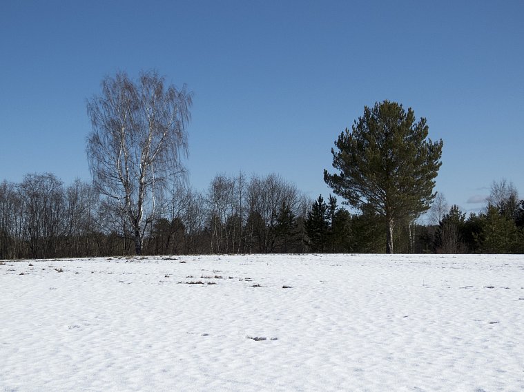 Следком заявил об упавших на территории Белгородской области украинских снарядах
